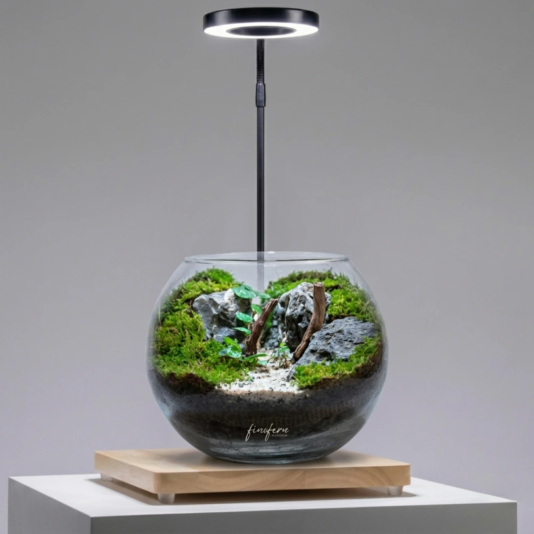 The Hermit’s Hollow