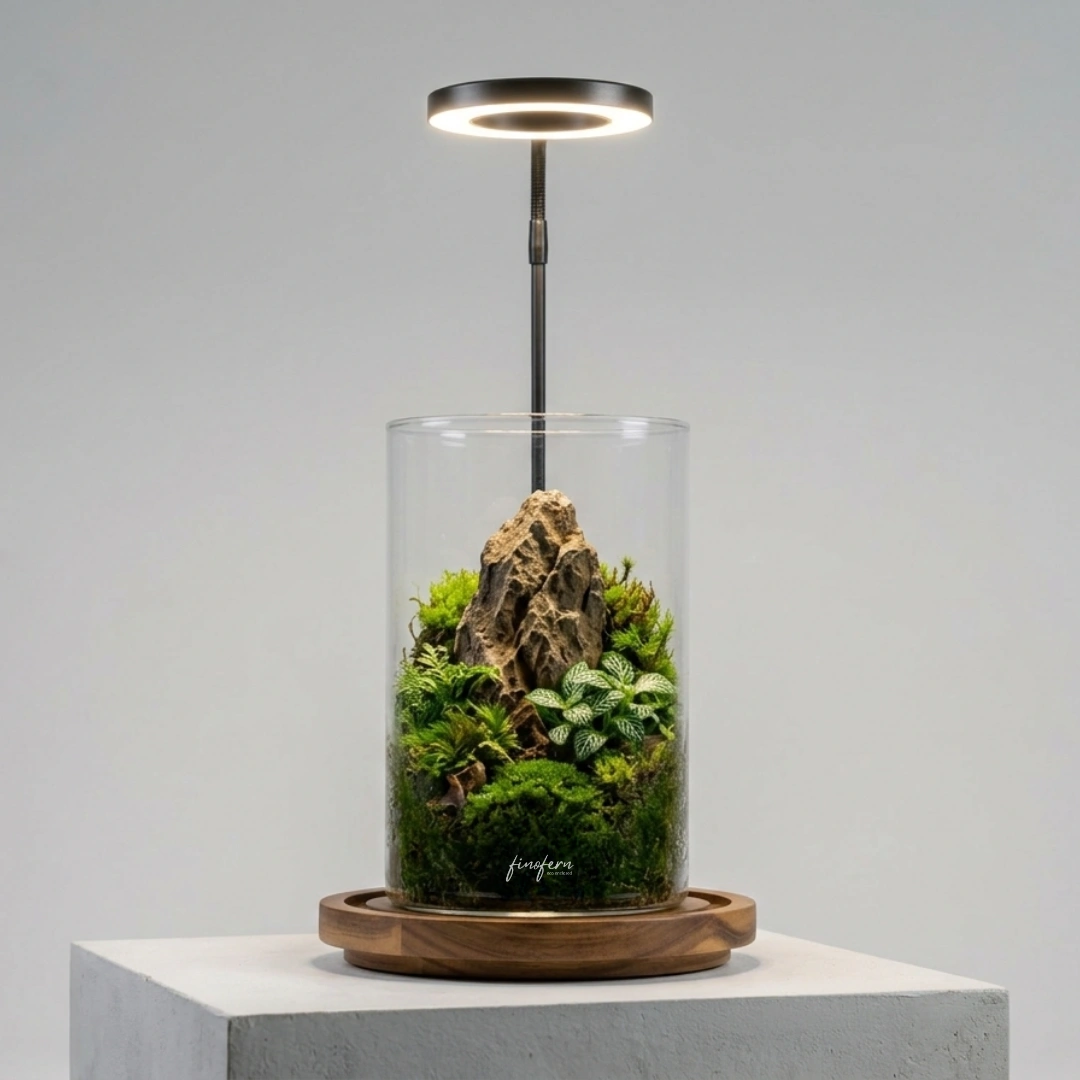 The Cragside Sanctuary